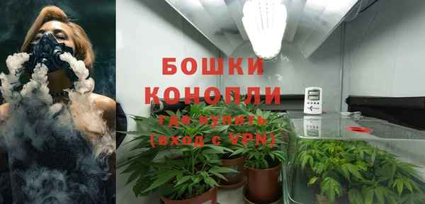 твердый Аркадак