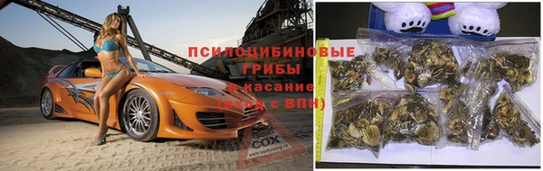 твердый Аркадак